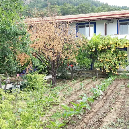 Albergue Ege *