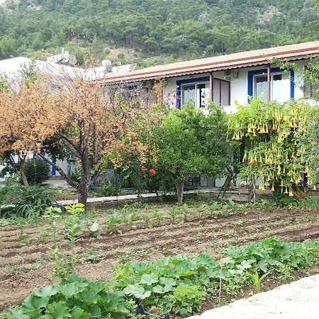 Ege Hostel Bodrum